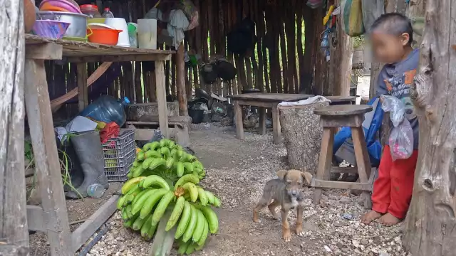 La carencia de alimentos en la Zona Norte de Quintana Roo se incrementó considerablemente en Tulum, que rebasó la cifra de Cancún por dos puntos
