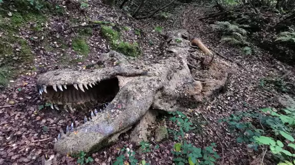 El cuerpo del dinosaurio