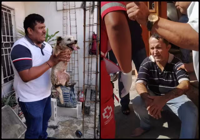 Al lugar llegaron paramédicos de la Cruz Roja para darle atención al hombre, mismo que fue trasladado al hospital