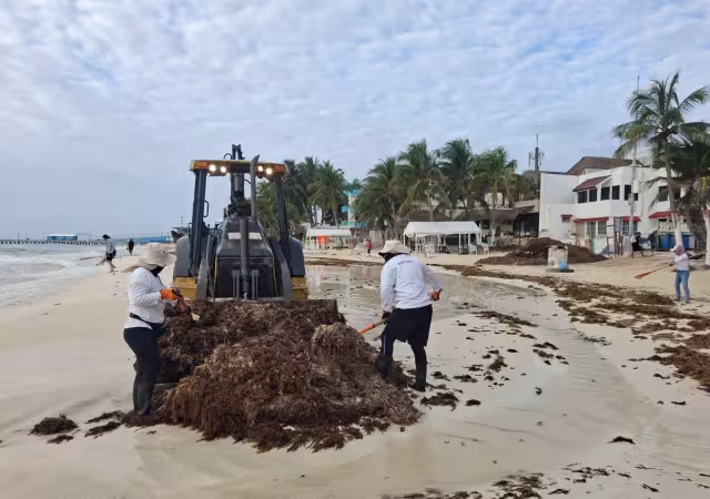 El plan integral contempla además la posibilidad de ampliar la línea de contención desde el muelle Fundadores hacia Playacar