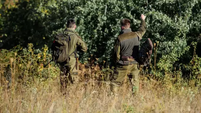Los patos, cercetas, gallaretas y venados de cola blanca son los más cazados en la Península de Yucatán