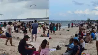 El mal tiempo provocó la salida de sargazo en la orilla del mar