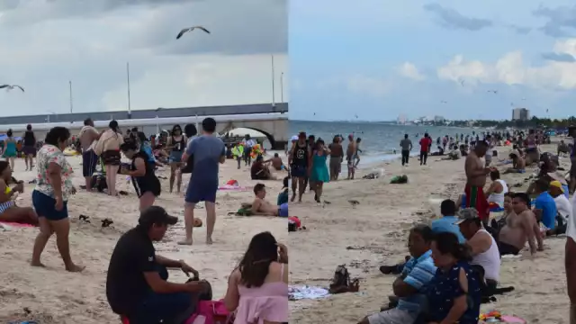 El mal tiempo provocó la salida de sargazo en la orilla del mar