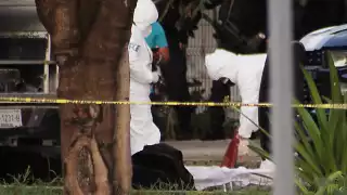 En lo que va del 2021, el SESNSP contabilizó 568 hechos delictivos en Quintana Roo, en su mayoría asesinatos y feminicidios