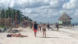 Desde hace tres semanas, ambas empresas fueron exhibidas por acosar a visitantes