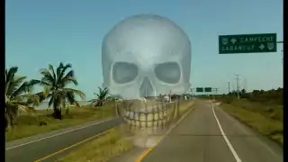 En Campeche fue la carretera Carmen-Campeche donde mayor número de muertos hubo