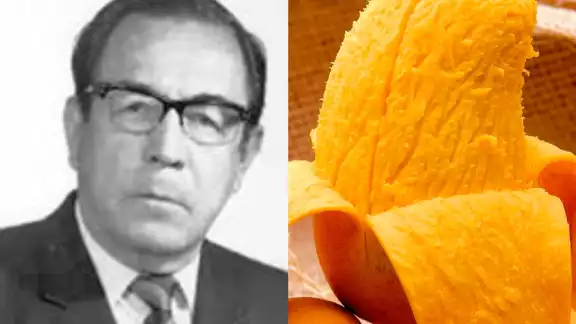 Se dice que Don Ataúlfo creó el mango perfecto del mercado Se dice que Don Ataúlfo creó el mango perfecto del mercado