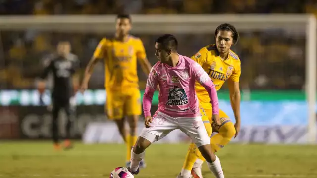 Pachuca vs. Tigres UANL, es uno de los partidos más interensantes de la Jornada 7