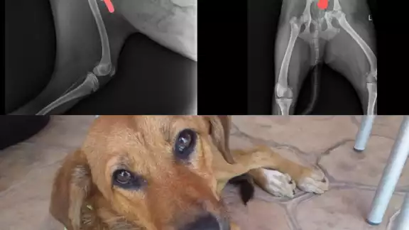 Foto: Facebook Jaki Tzuc