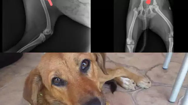 Foto: Facebook Jaki Tzuc