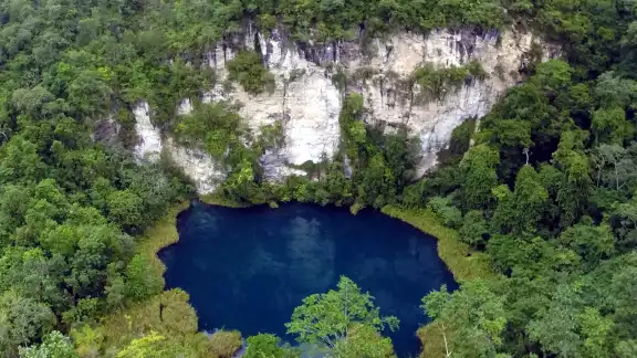 El cenote Cocodrilo Dorado fue descubierto desde hace más de medio siglo El cenote Cocodrilo Dorado fue descubierto desde hace más de medio siglo
