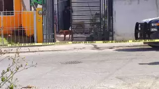 La víctima fue llevada de urgencia al Hospital General de Cancún para su atención médica tras ser atacado a balazos