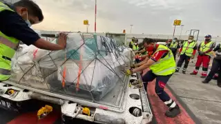 La vacuna ensayo será aplicada en Querétaro, Guadalajara, Monterrey y Ciudad de México