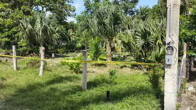 En el lugar hicieron acto de presencia del elementos de la Policía Quintana Roo, quienes acordonaron el área en espera de la llegada de la Fiscalía General del Estado