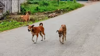 Motociclistas y vecinos solicitan intervención para el problema
