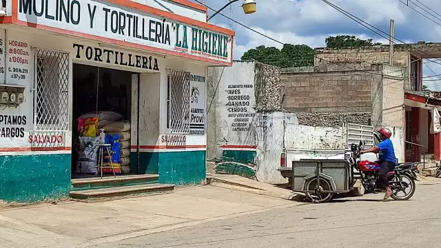 Actualmente el precio del kilo de tortilla está en 22 pesos y el kilo de masa en 12 pesos