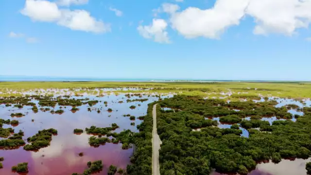 Para 2030 los polos se descongelarán, lo que generará un aumento en el nivel del mar
