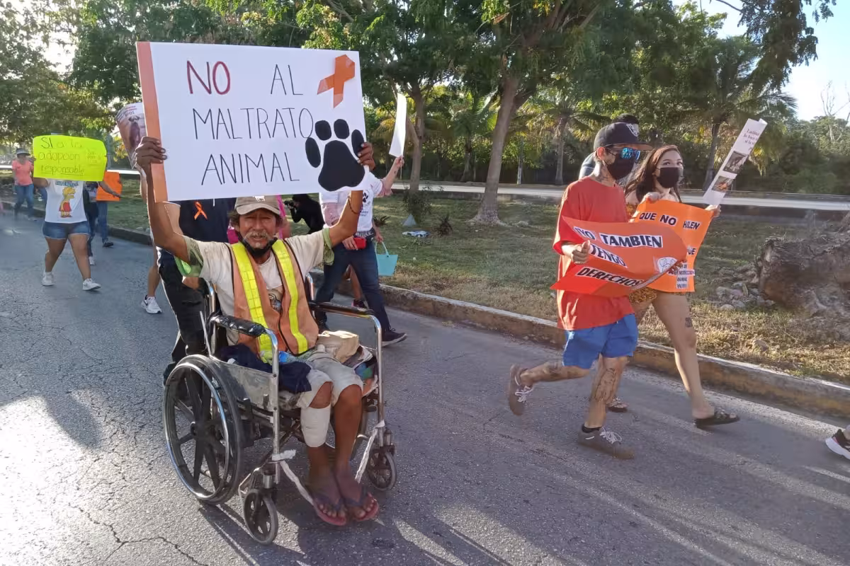 Vecinos exigen aplicación de la Ley contra el Maltrato Animal en ...