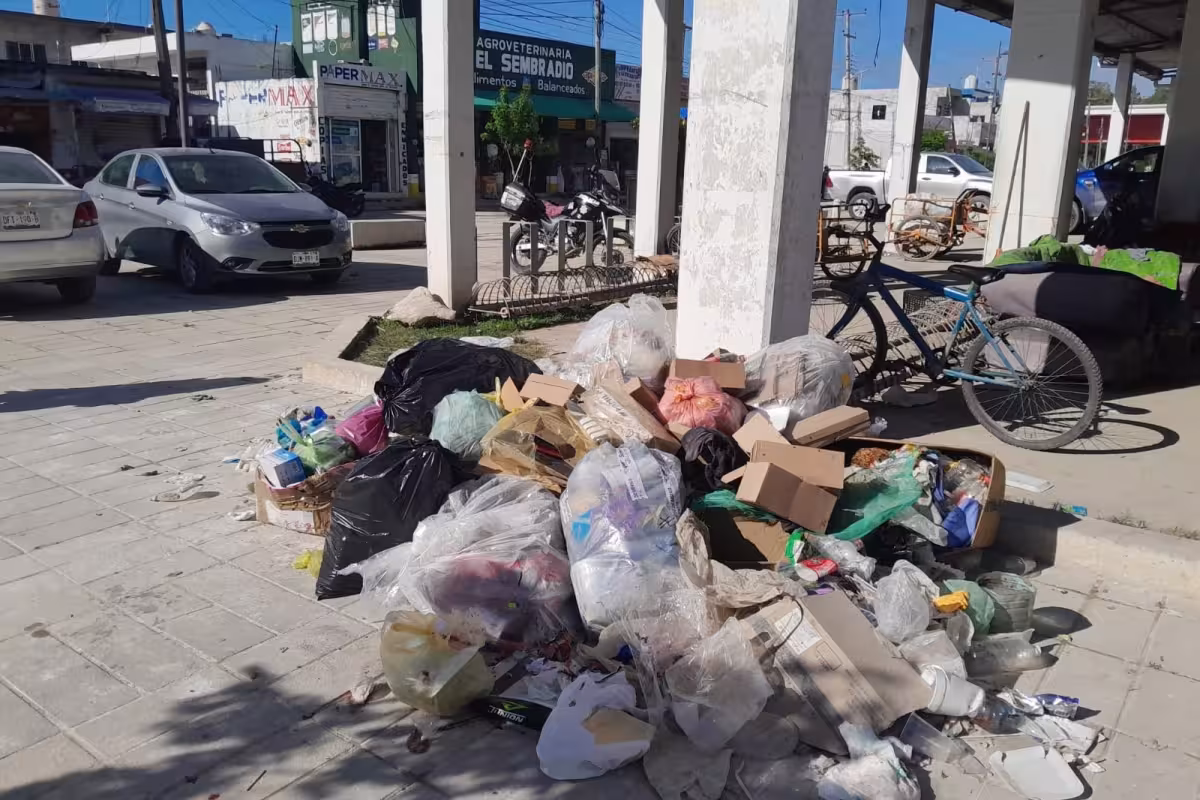 Vecinos y comerciantes de Escárcega denuncian problema de basura en el ...