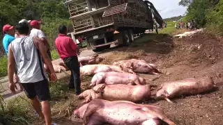 Los pobladores aprovecharon la situación y empezaron la rapiña