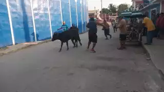 La Feria Taurina 2023 se lleva acabo en Hecelchakán