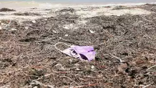 Bañistas inconscientes dejan cubrebocas en playas
