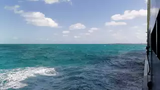 Reportaron que sus dos motores dejaron sin funcionar