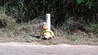 Algunos piensan que es una broma de mal gusto