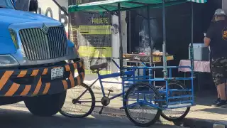 Camión repartidor daña triciclo estacionado en  el Carmen