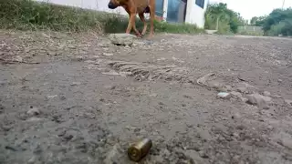 Una de los casquillos de las balas que se detonaron en la Región 235 de Cancún quedaron en el suelo