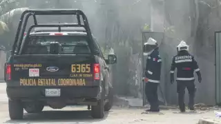 Debido al Sol y al calor los animales se alborotaron e invadieron los predios cercanos