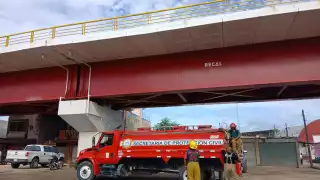 Lomito genera movilización de bomberos de Escárcega;  al parecer se encontraba en el viaducto del Tren Maya