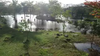 Con este gran pulmón se pretende mejorar las condiciones ambientales, sociales, patrimoniales y de movilidad urbana del entorno