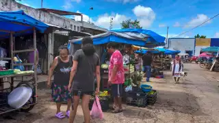 Precio de la naranja y limón en Yucatán, por los cielos; toronja, la más cara