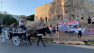 Las rescatistas independientes piden diálogo para la modificación a calesas eléctricas