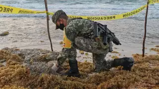 Las autoridades acudieron para asegurar la zona del recale