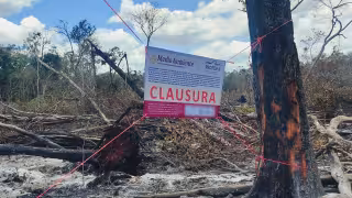Profepa clausura 54 hectáreas en Hopelchén por desmonte e incendios; ya van seis operativos en 2026