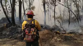 El Bosque Primavera es uno de los pulmones más importantes para Guadalajara. Foto: Gobierno de Zapopan