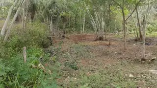 Por desconocimiento, creencias erradas e información falsa, esos animalitos son exterminados a primer contacto con el ser humano