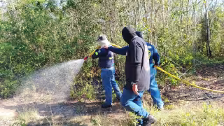 Sofocan primer incendio forestal en Francisco May durante temporada de calor