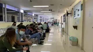 En 2019 se registraron 15 casos de esta enfermedad en todo el país