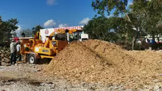 Según informes del ayuntamiento, hasta ahora se han levantado más de mil toneladas de estos residuos, Fotografía: Víctor Ávalos
