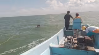 Brigadas submarinas de CAPA luchan contra el clima para restablecer el suministro en Holbox