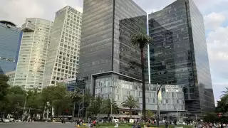 La Gloriera de la Palma de Paseo de la Reforma será retirada este domingo 24 de abril por parte del Gobierno de la Ciudad de México