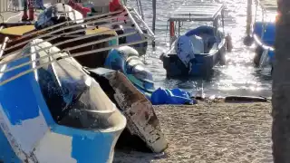 Hallan cuerpo en playa de Puerto Juárez; investigan si podría tratarse de un joven reportado como desaparecido