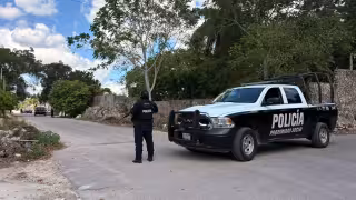 Catean y aseguran una vivienda en Felipe Carrillo Puerto