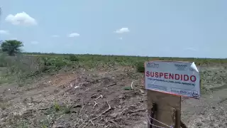 Profepa clausuró predio de 250 hectáreas en Chunchintok