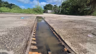Drenaje obsoleto agrava encharcamientos y proliferación de mosquitos en Miraflores, Champotón