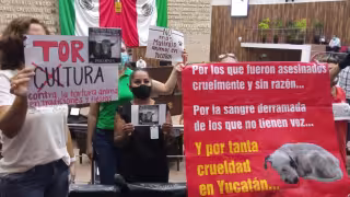 La iniciativa fue presentada por el diputado Marco Rodríguez Ruz del PRI y pide incluir a la corrida de toros y la pelea de gallos