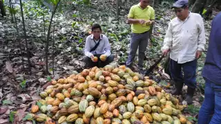 Se tratarán temas enfocados a la seguridad alimenticia y al cambio climático